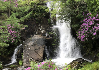 Waterfalls & Rhododendrons, Snowdonia National Park